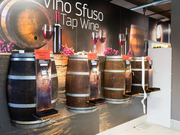 Botti per spillare vino locale al campeggio Roan hu Altomincio village.