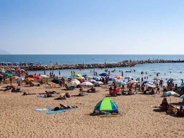 Spiaggia vicina al campeggio Roan hu Park Albatros village.