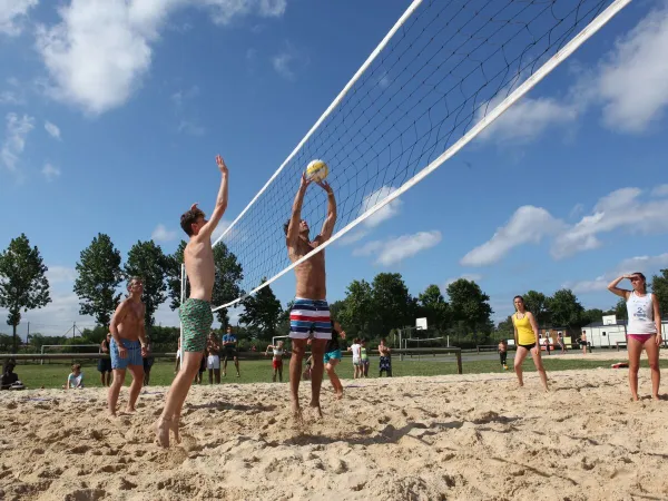 Beach volley al Roan camping Le Vieux Port.