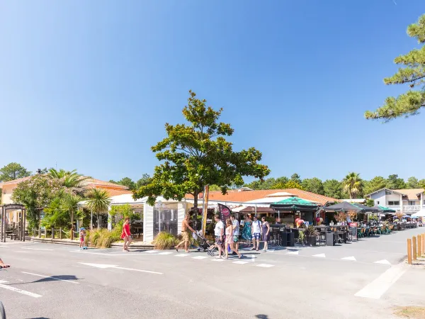 Un'autostrada vicino al campeggio Roan Le Vieux Port.