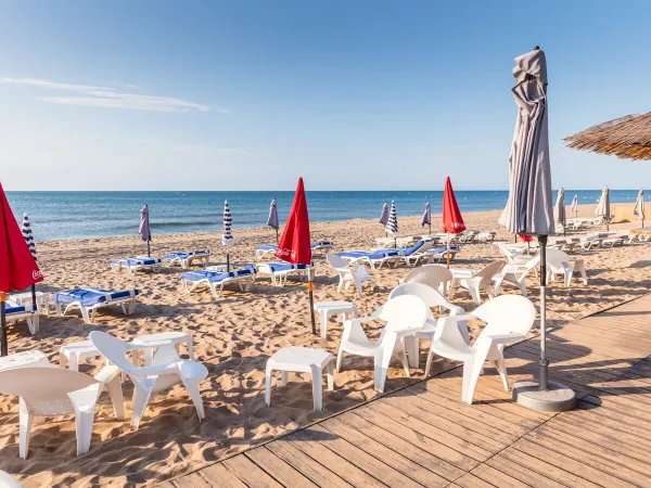 Lettini sulla spiaggia vicino al Roan camping Les Sablines.