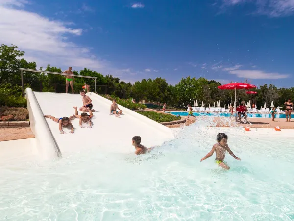 Scivolo nella piscina lagunare del campeggio Roan di Montescudaio.