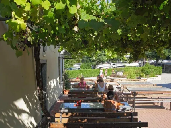 Piazzola ombreggiata al campeggio Roan Lido Verbano.