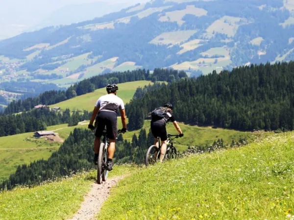 Mountain bike vicino al campeggio Roan Lido Verbano.