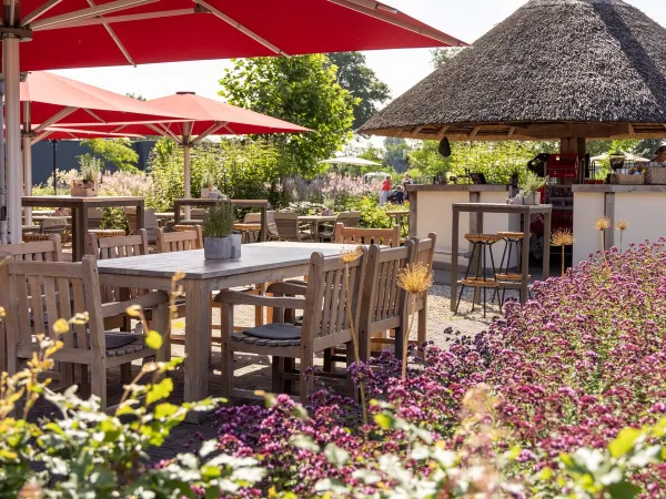 Bar all'aperto con terrazza al campeggio Roan De Twee Bruggen.