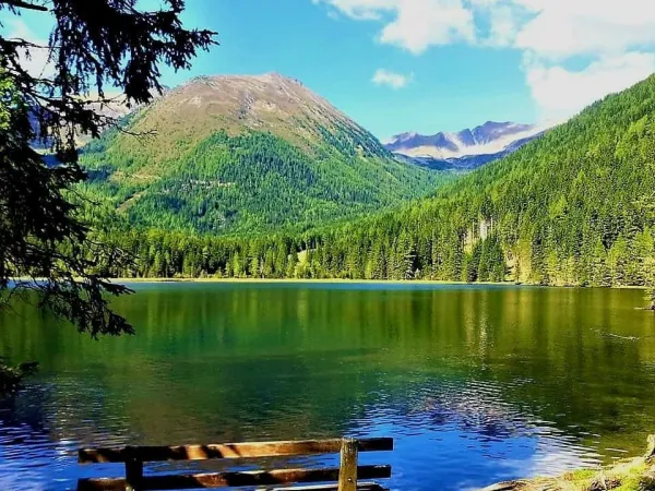 Bellissimo lago vicino al campeggio Roan Bella Austria.