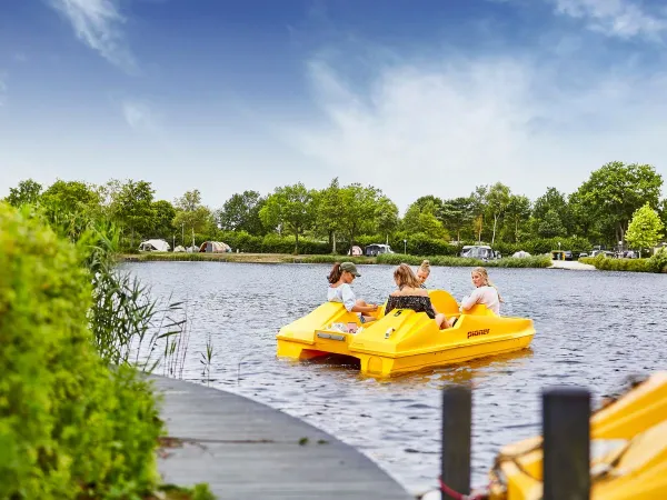 Pedalos sul laghetto del campeggio Roan Terspegelt.