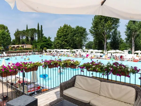 Terrazza bar con vista sulla piscina del Roan camping Altomincio.