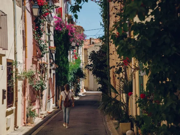 Strada nella città di Perpignon.