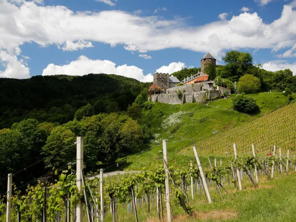 Un castello vicino al campeggio Roan di Bella Austria.