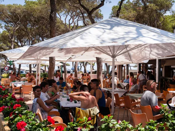 Una terrazza completa al Roan Camping El Pinar.