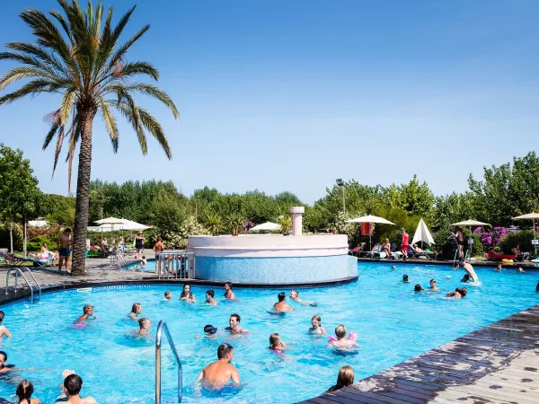 Le persone si divertono in piscina al Roan Camping El Pinar.