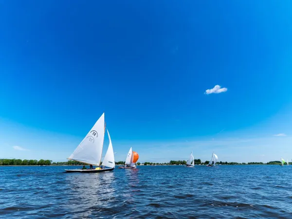 Barca sul lago Slotermeer al Roan camping Marvilla Parks Friese Meren.