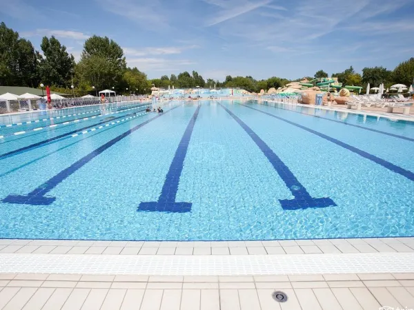 Nuoto in corsia al campeggio Roan Marina Di Venezia.