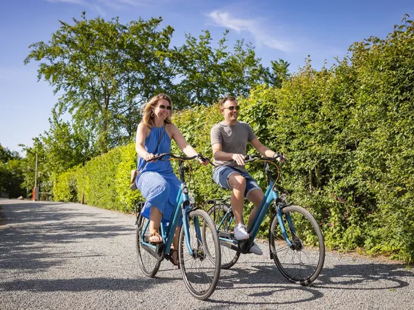 Condividere il percorso ciclistico vicino al campeggio Roan Marvilla Parks Friese Meren.