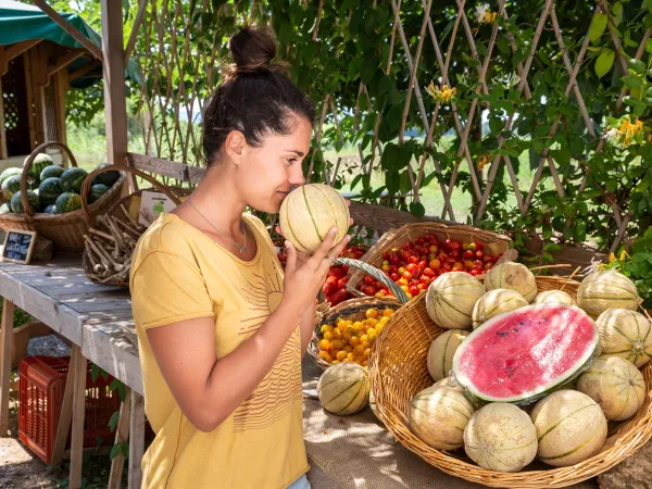 Frutta fresca al Roan camping Park Albatros.