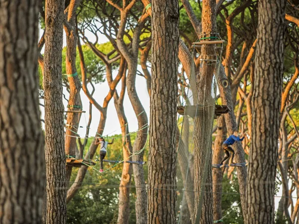 Corso di tree-climbing al Roan camping Park Albatros.