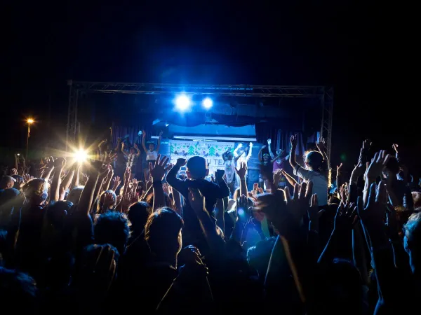 Serata in discoteca al Roan camping hu Park Albatros village.