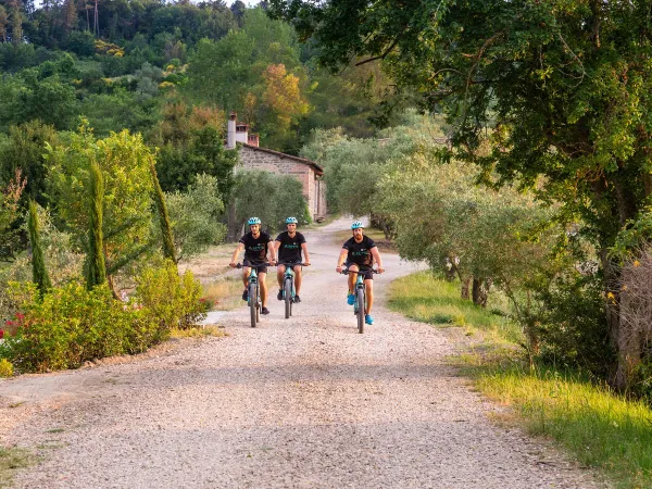 Mountain bike vicino al campeggio Roan Norcenni Girasole.