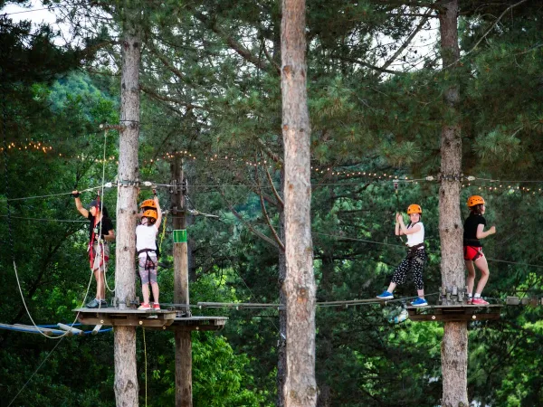 Corso di tree-climbing al campeggio Roan Norcenni Girasole.