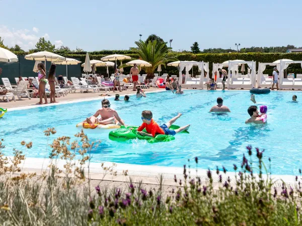 Atmosfera piscina al campeggio Roan Favolosa.