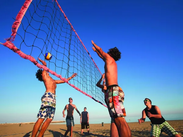 Campo da pallavolo al campeggio Roan Mediterraneo.