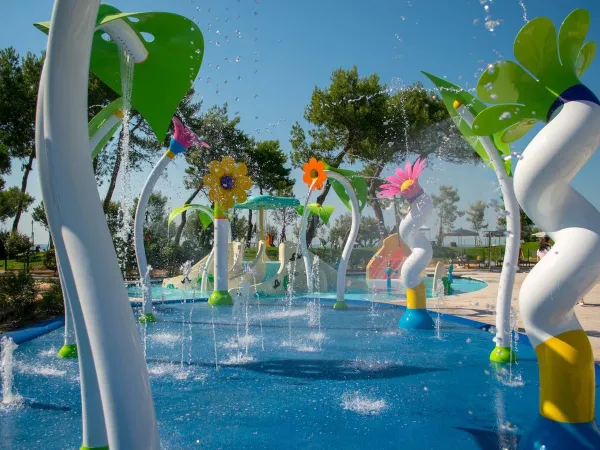 Piscina del campeggio Roan Mediterraneo.