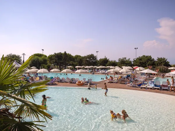 Panoramica della piscina del campeggio Roan Delle Rose.