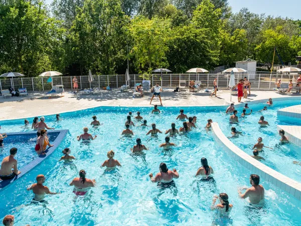 Animazione in piscina al Roan camping Adriano Village.