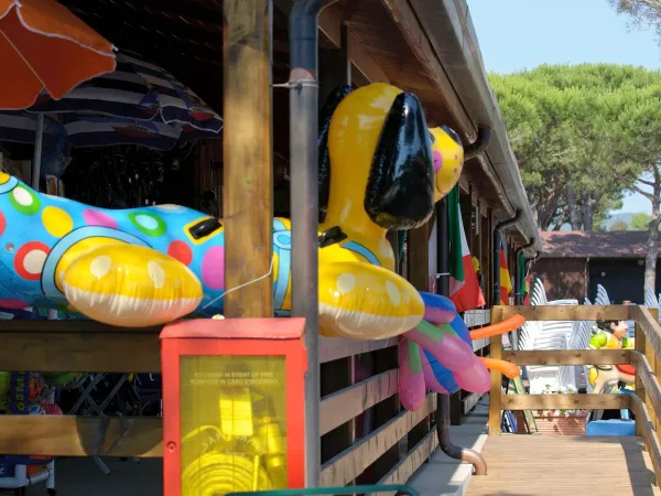 Attrezzature della piscina per bambini del campeggio Orbetello.