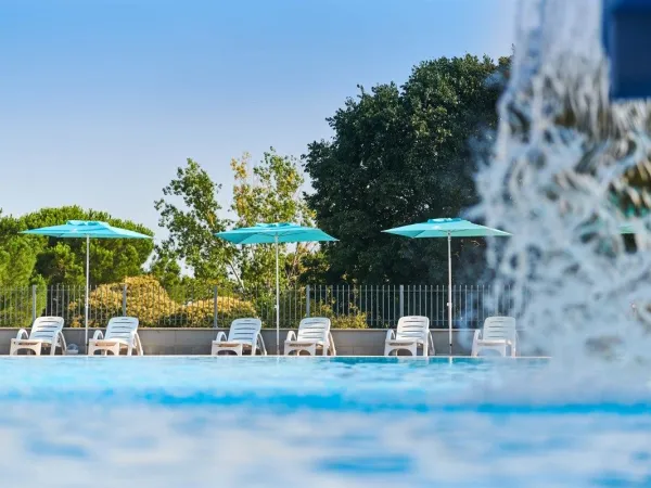 Lettini a bordo piscina al Roan camping Park Umag.