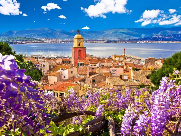 La città di Saint-Tropez vicino al campeggio Roan Domaine Naïades.