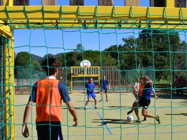 Campo da calcio e da basket al campeggio Roan La Pierre Verte.