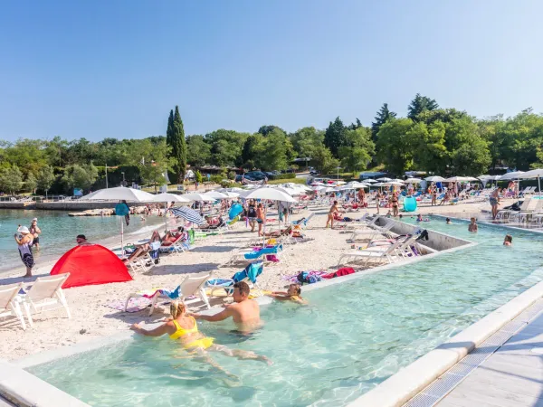 Piscina a sfioro sulla spiaggia di sabbia del Roan camping Lanterna.