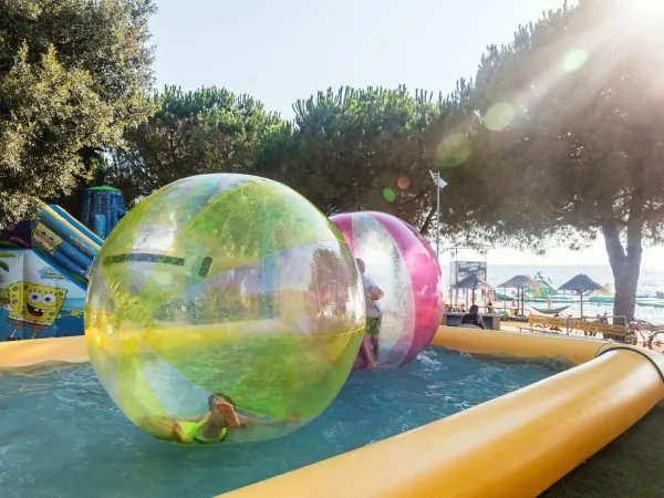 Attività Aquabubble al Roan camping Park Umag