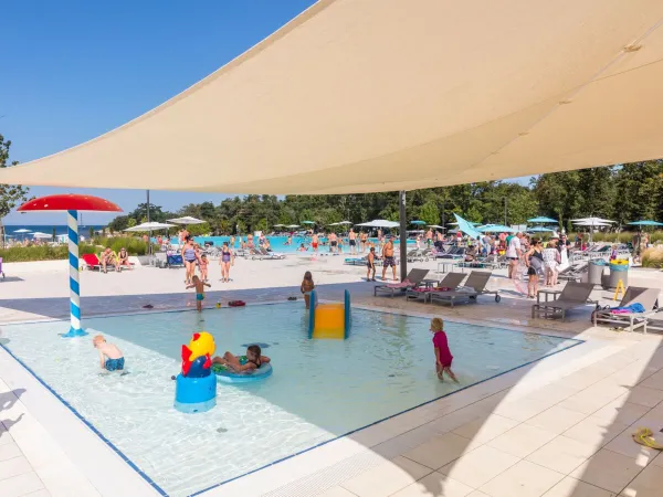 Piscina per bambini al Roan camping Park Umag.