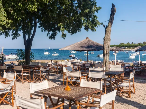 Terrazza sulla spiaggia del Roan camping Park Umag.