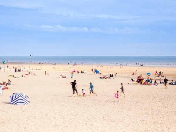 Spiaggia di sabbia al campeggio Roan Le Domaine de Beaulieu.