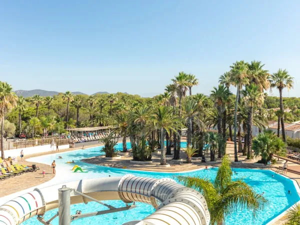 Bellissima piscina con palme al Roan camping La Baume.