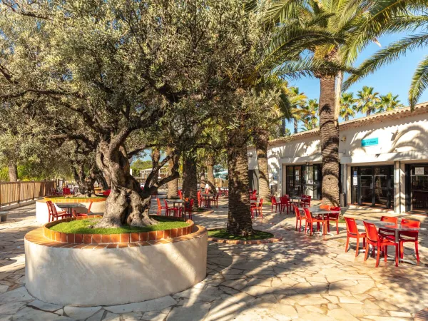 Terrazza e bar del campeggio Roan La Baume.