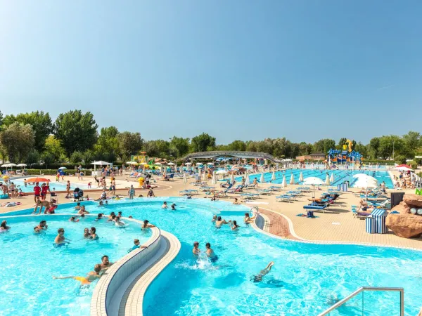 Piscina vivace al campeggio Roan Marina Di Venezia.