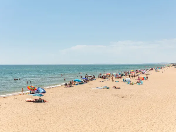 Spiaggia sabbiosa e vivace al Roan camping Méditerranée Plage.