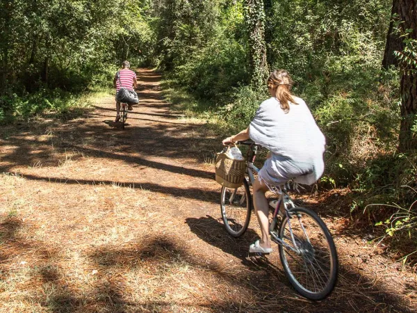 In bicicletta intorno al campeggio Roan Sole Family Camping Village.