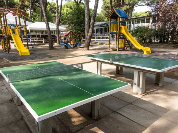 Tavoli da ping-pong e scivoli nel parco giochi del campeggio Roan Sole Family Camping Village.