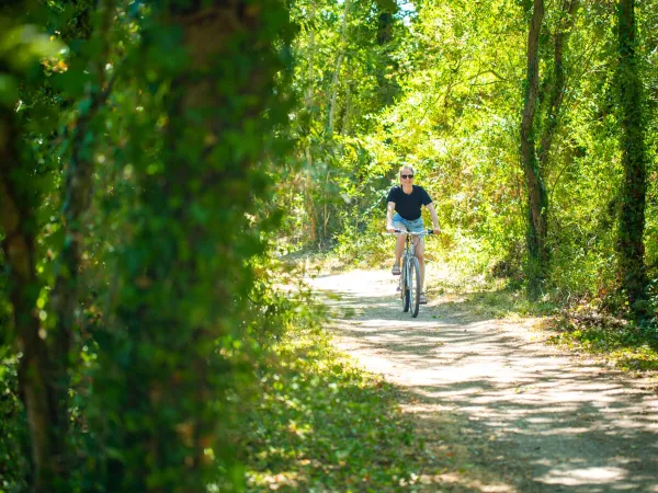 Percorso ciclistico vicino al campeggio Roan du Latois.