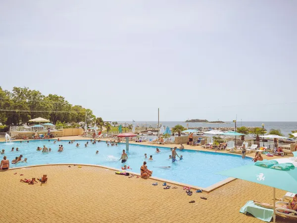 Panoramica della vivace piscina del campeggio Roan Zelena Laguna.