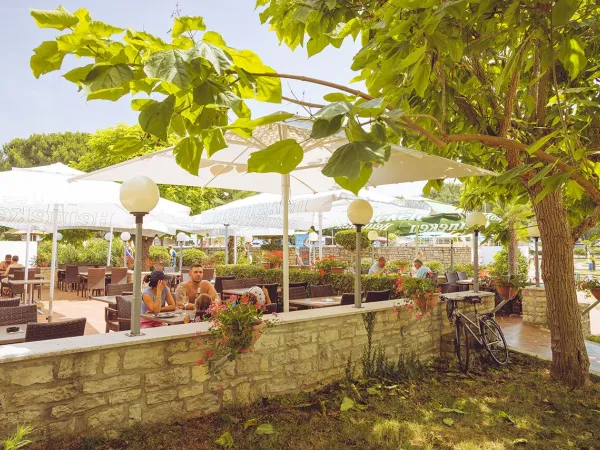 Terrazza d'atmosfera al campeggio Roan Zelena Laguna.