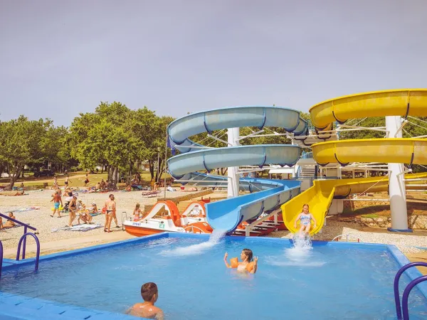 Scivoli con piscina al campeggio Roan Zelena Laguna.