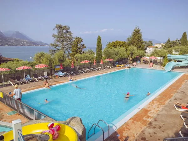 Panoramica della piscina del campeggio Roan Eden.