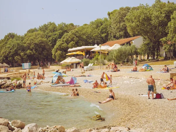 Immagine d'atmosfera della spiaggia del campeggio Roan Zelena Laguna.